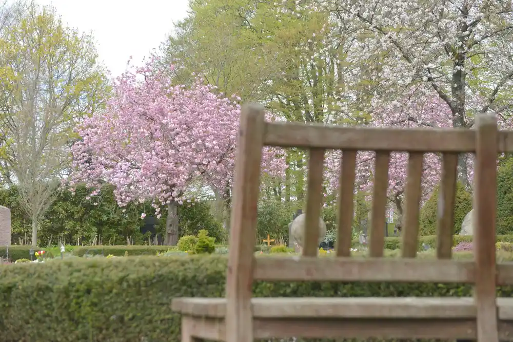 Feuerbestattung in Kronberg im Taunus